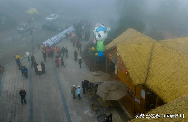 四川雅安：碧峰峡风光旖旎引客来