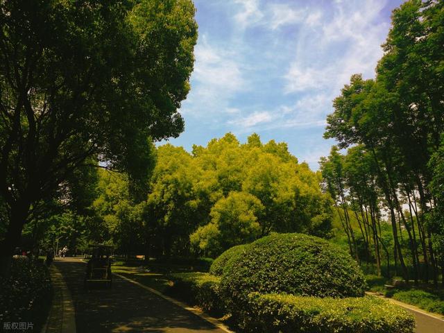 上海值得去的6个公园推荐！全部免费，好看又好玩！你都去过几个