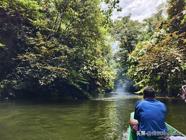 马来西亚(29)砂拉越州③姆鲁山清水洞·风洞