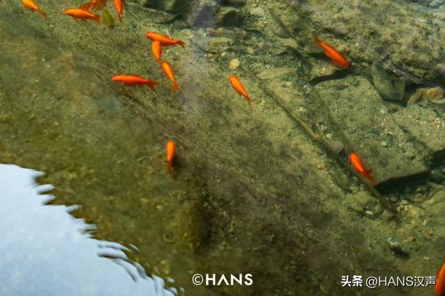 上龟山，下晴川，山水之城，快活自在