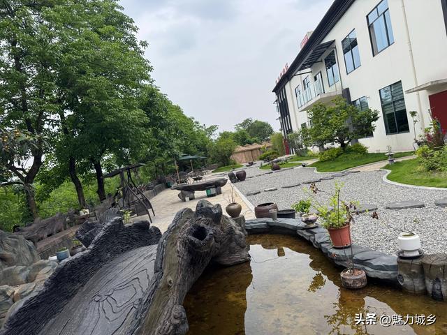 璧善堂中医馆后花园：藏在草木间的中医温情与文化密码