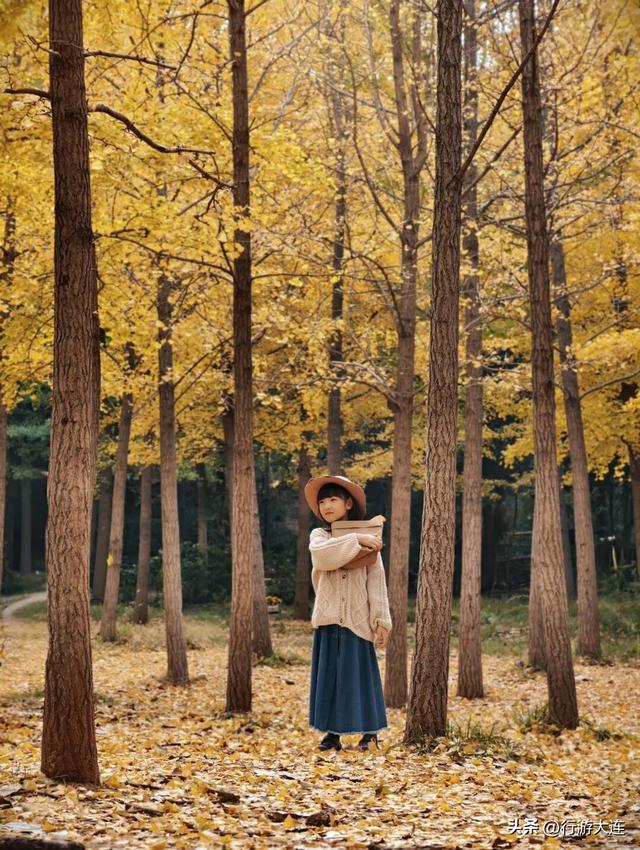 落叶缓扫～24处叶景打卡地延长“营业”时间