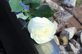 有一种爱，无缘夫妻，挂念到老图片