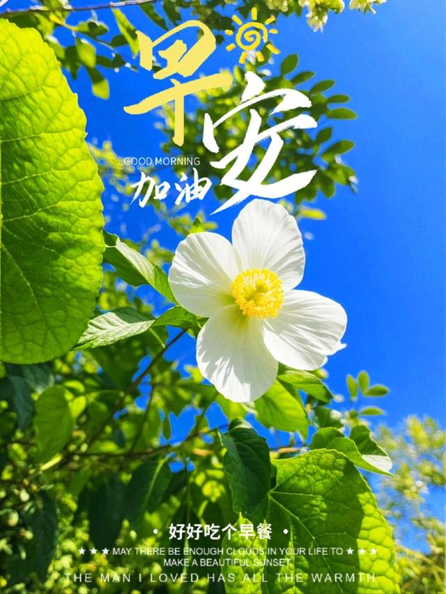 早安正能量励志句子，新的一天，愿我们好运满满，平安顺遂。早安