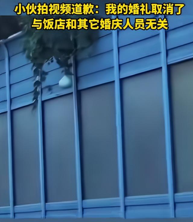 摘葫芦男“社会性死亡”：处罚曝光，婚礼取消，脸面和幸福都没了