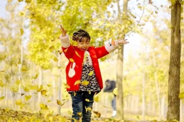 含“金”量100%！是时候来仁寿，邂逅一抹银杏黄啦~