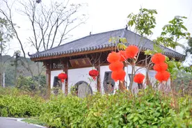 广西药用植物园诗经植物园推出系列文旅盛宴图片