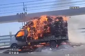 深中通道车辆自燃，桥梁主缆被烧，网友：25000根钢丝构成！图片
