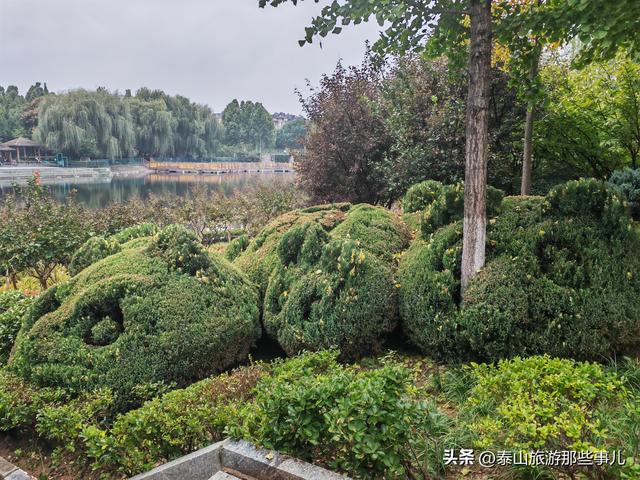 泰安：它是市颜值最高公园之一，紧邻“岱下桃源”，一个创意绝了
