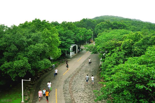 当天就能来回！上海周边6个适合爬山徒步的地方！沿途风景绝美