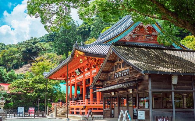 还有人敢去日本旅游？有小旅行社借机揽客，发国难财，丧尽天良