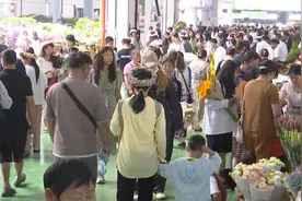 雨水多，花就多！这些鲜花与毕业季适配度绝了→图片