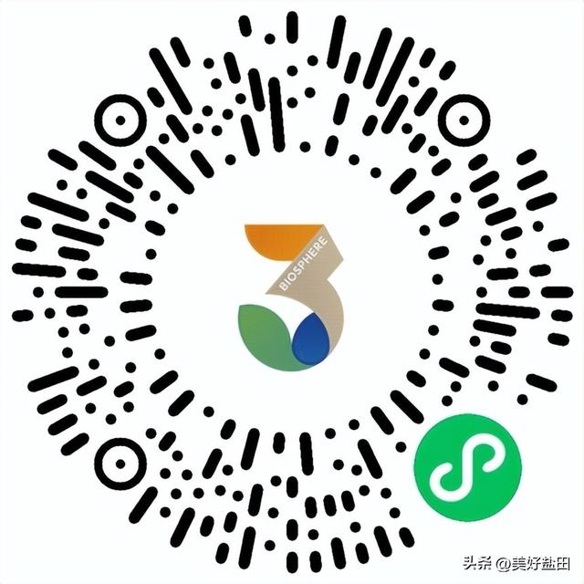 深圳山海共生艺术季喊你来一场超快乐的city walk~