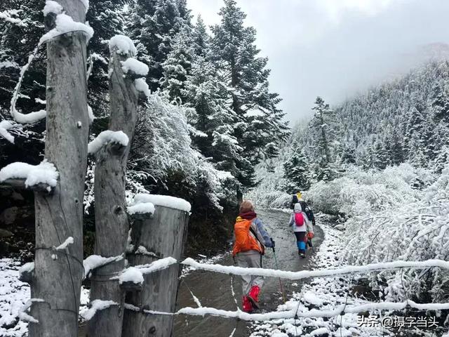 甲依拉措 :一场白雪与彩林的盛宴