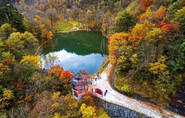 秋假福利持续至本周末！免票游雅安的快乐要一接再接！