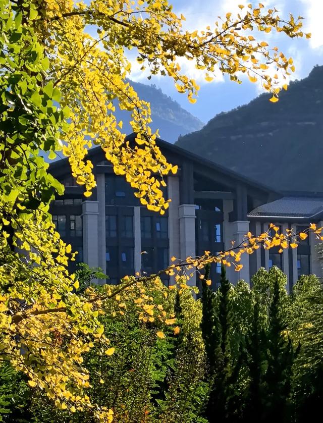 秋天的陇南，有什么好看的？