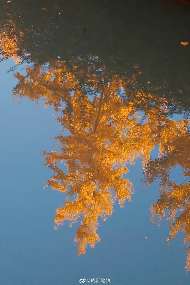 地铁直达！升仙湖公园美得像油画世界