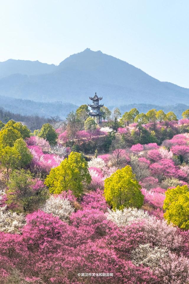 🤩收藏！春节拍大片，就来黄陂『下集』