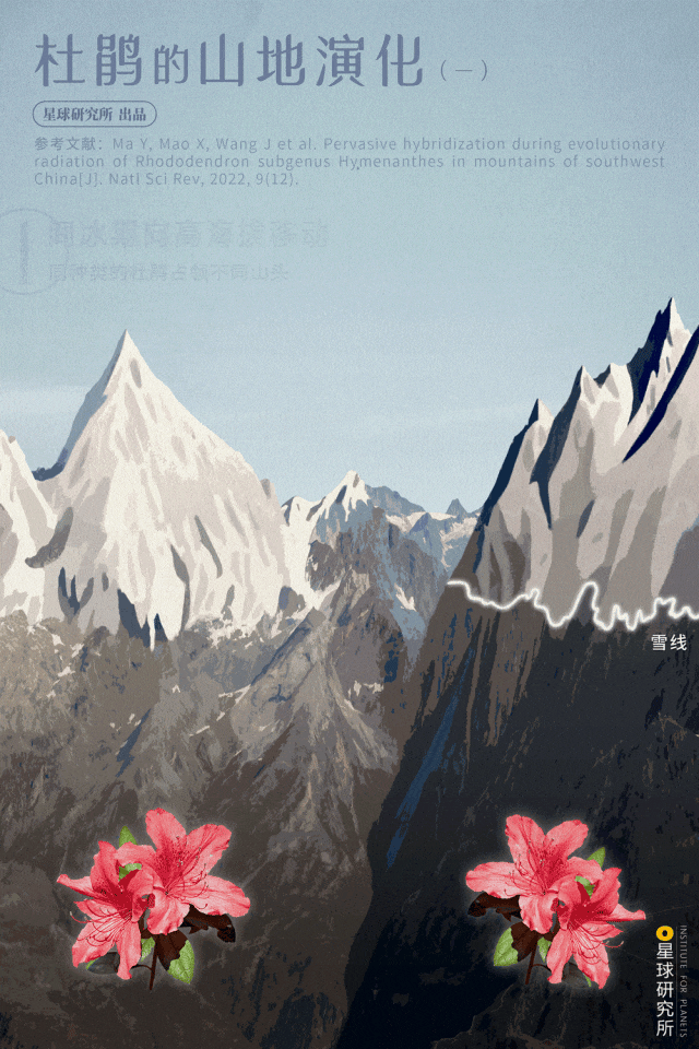 中国的雪山花海，开始征服地球了？③
