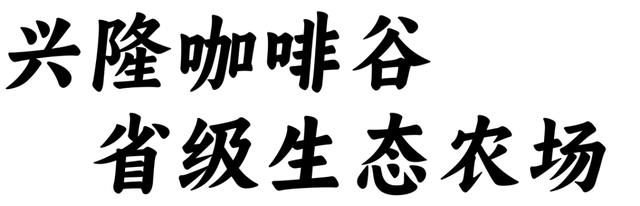 万宁旅游业“双喜临门”，可持续发展实践获认可！