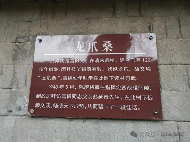 抗战名将彭雪枫牺牲81周年，回忆参观抗战英雄彭雪枫故居