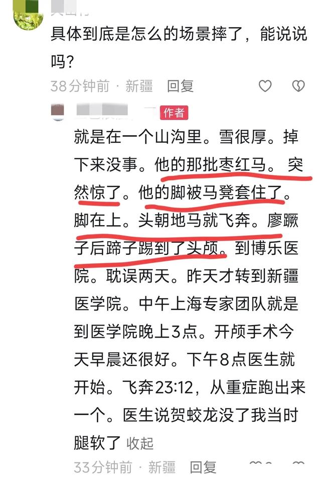 贺娇龙身亡细节曝光：马受惊尥蹶子	，蹄踢到她头部，此前疑有征兆