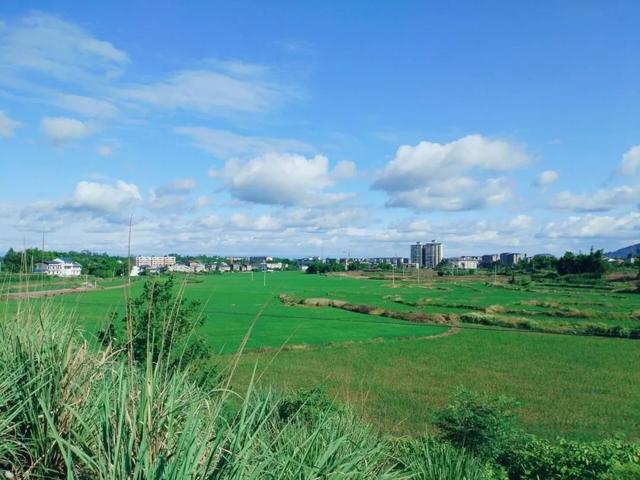 川东花桥镇：广安北大门，三市交界点