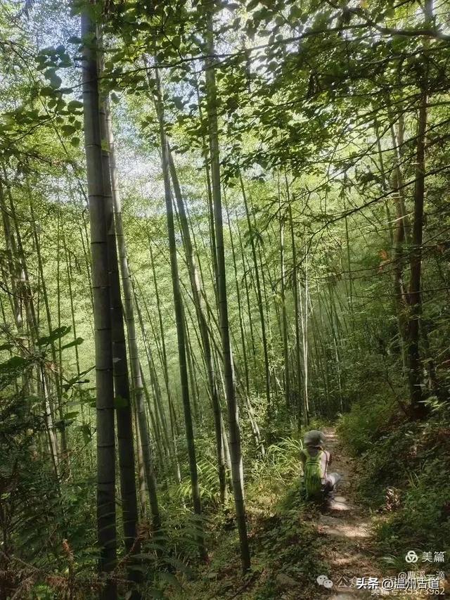 温州高山峡谷隐藏的小众秘境，驴友的瀑降宝藏地！雨后风光绝佳！