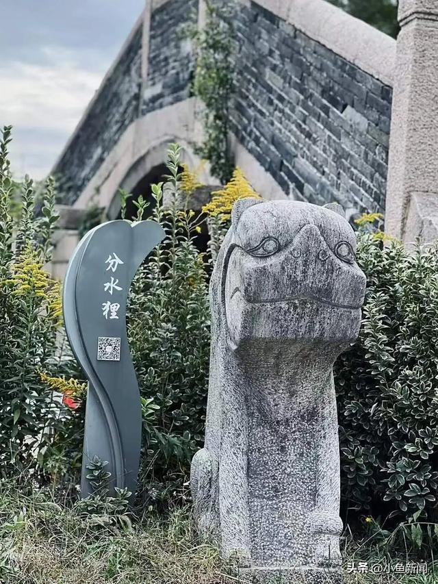 我等得花儿都...开了