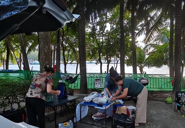 年轻人为何集体“白嫖”景区？报复性白嫖，景区赚不到钱了？