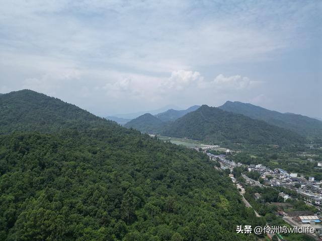 成都徒步（68）·彭州篇⑮佛山古寺&镇国寺宝塔