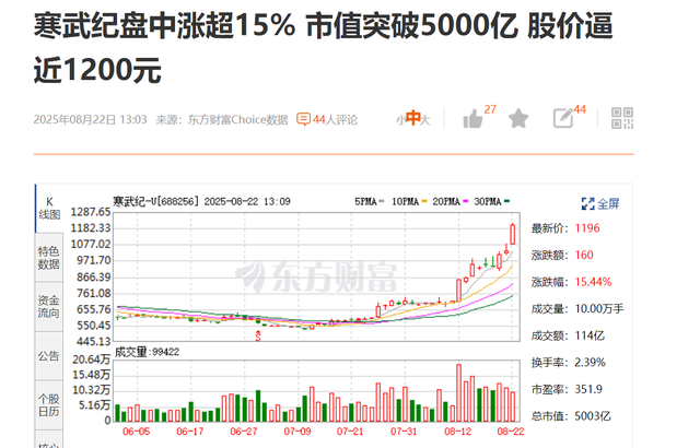 AI芯片爆发