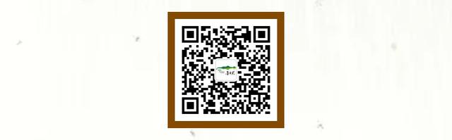 三八节特辑 | 为她而拍！在普者黑，把春天和自己都装进镜头里