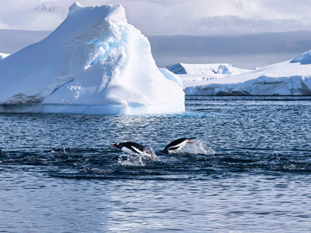 “把全世界的美都浓缩在这里”，这场年终大展惊艳了2025最后一个周末