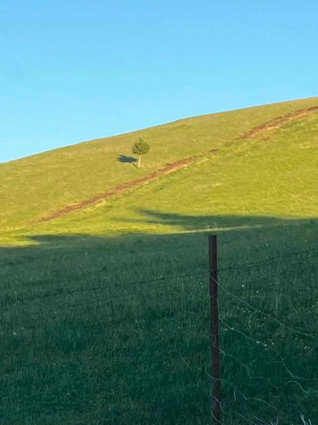 你收藏伊犁攻略里一定没有这一页 伊犁藏着不输任何收费景区风光。