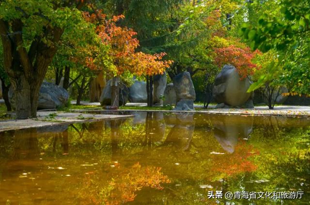 邂逅海南，赴一场斑斓的秋日盛景之约