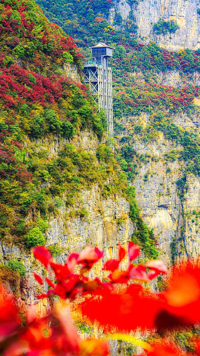 一江碧水，两岸红叶，静看三峡绚丽之秋