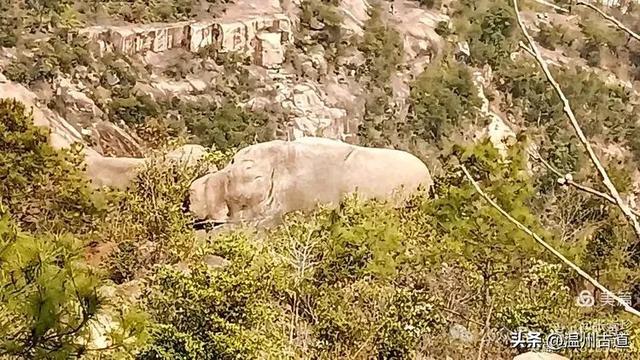 大罗山这条改造过的登山步道你可去过?
