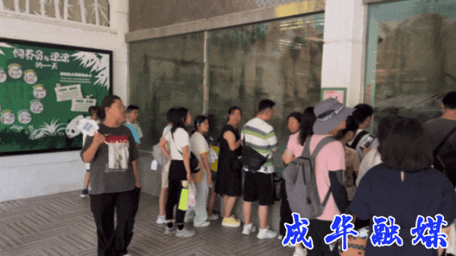 快冲！人人人人人，但真的好耍！| 成华融媒