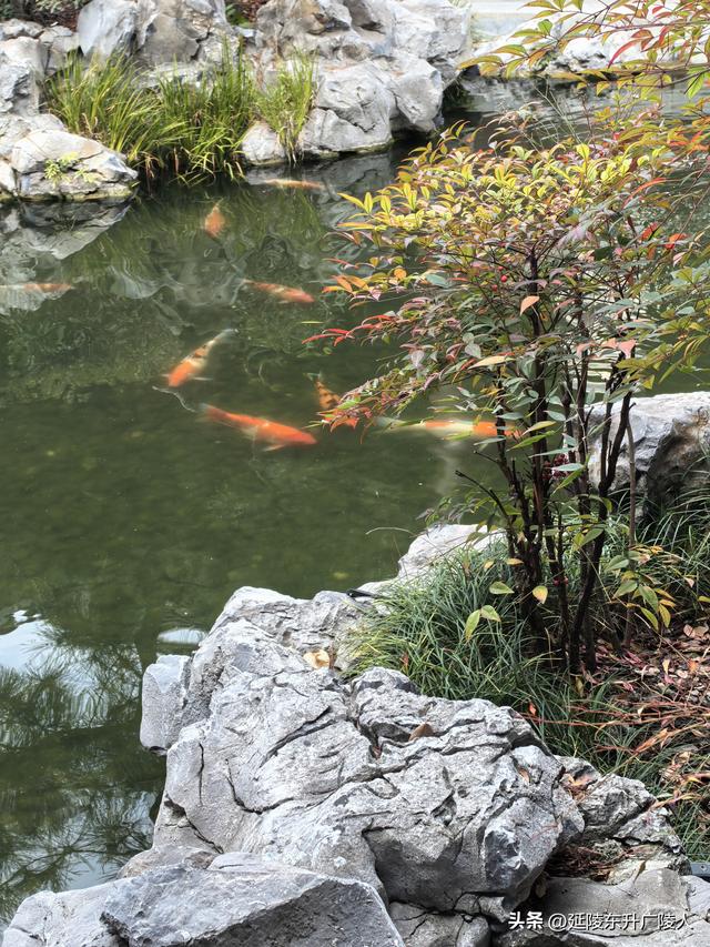 冬游如皋水绘园 亭台楼阁才子佳人水相会 匠心独运天地人造似天成