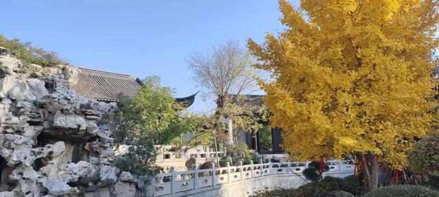 寻美薛城丨谁还没去？薛城小江南留园山庄这片初冬美景秘境藏不住了，速来打卡！