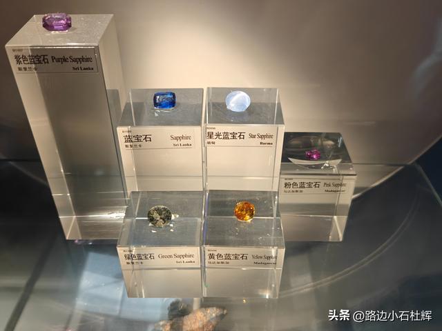 逛中国地质博物馆——一家好博物馆的暑期不佳体验