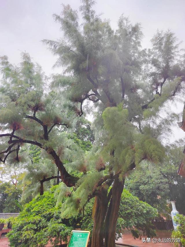 峨眉山万年寺， 白水秋风 圣寿万年