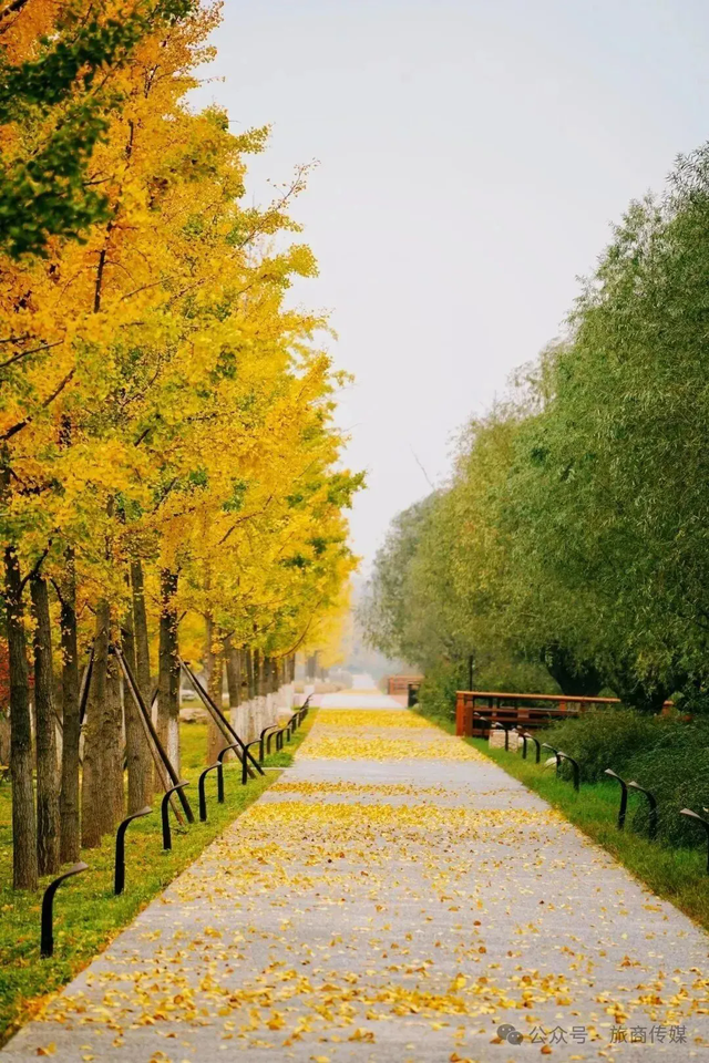 西安周末好去处——初冬8处宝藏公园免费又好玩！