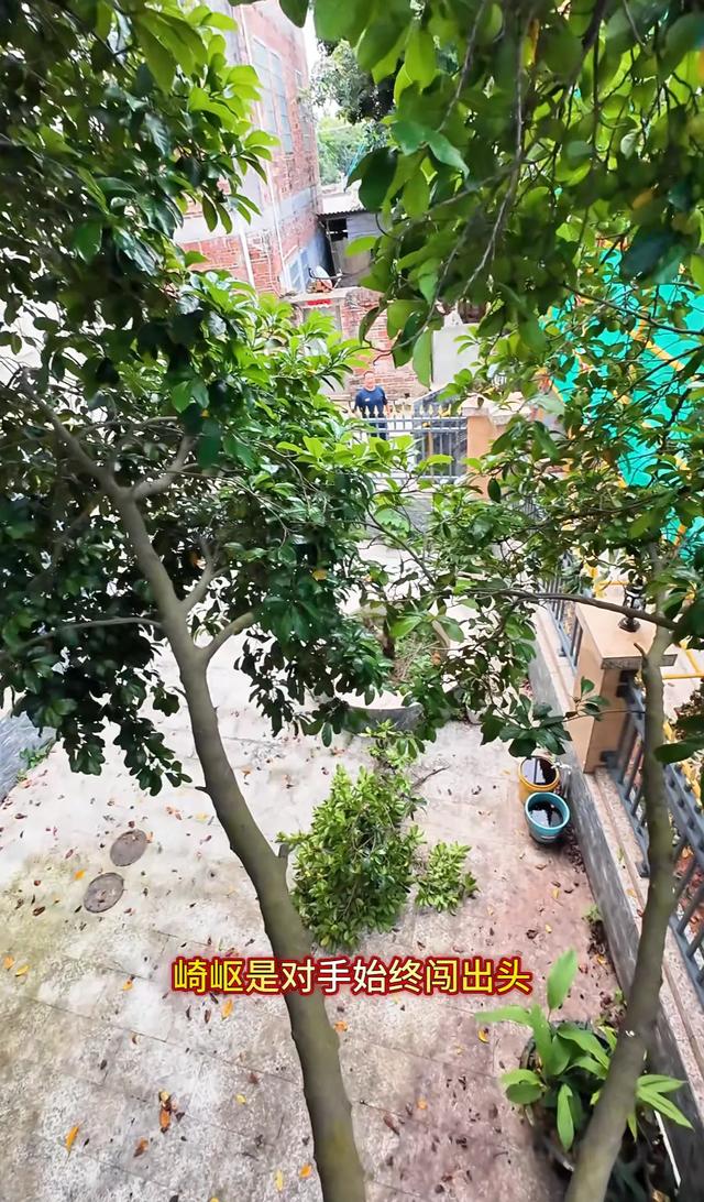 全红婵家的新房终于复工，邻居都开始建二层了，全妈来工地催进度
