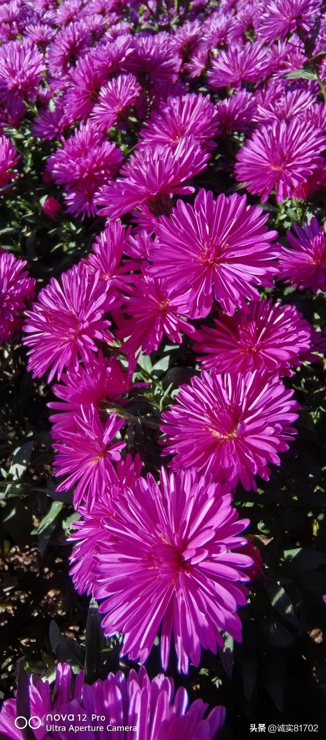 过年找搭子，出门去旅游