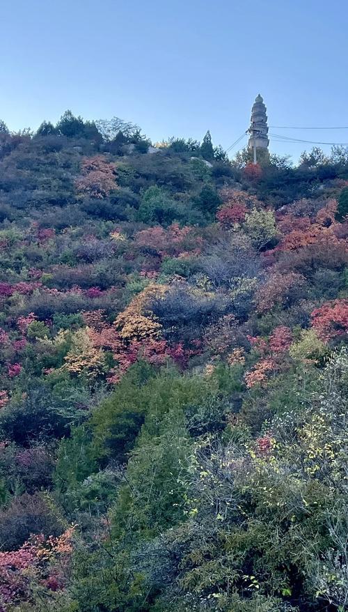 太原那些山！被低估的崛围山。秋景不输香山，崛围红叶晋阳古八景