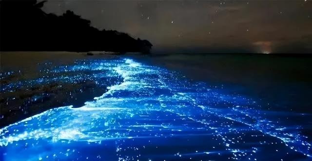 @中国朋友 柬埔寨将免签，这份“旅行清单”一定收好！