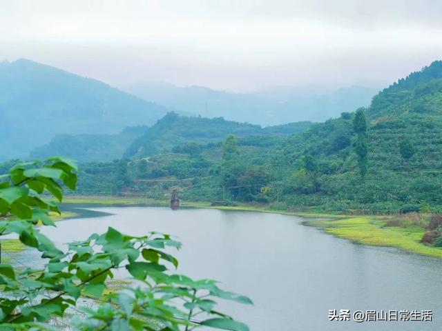 眉山东坡区藏了个神仙小镇！天空之镜、荷花、天梯、古戏台…