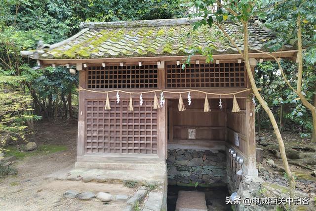 日本京都：走进宇治上神社